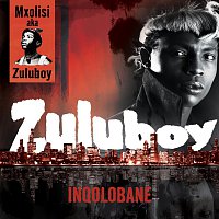 Zuluboy – Inqolobane