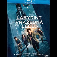 Labyrint: Vražedná léčba