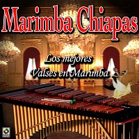 Marimba Chiapas – Los Mejores Valses En Marimba
