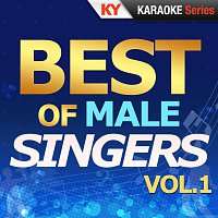 Přední strana obalu CD Best Of Male Singers Vol.1 (Karaoke Version)