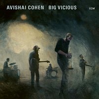 Avishai Cohen, Big Vicious – Teardrop