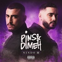 Pins & Dimeh – Nindo III