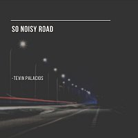 Tevin Palacios – So Noisy Road