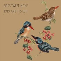 lofi creep – Birds Tweet in the Park and It Is Lofi