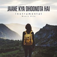 Jaane Kya Dhoondta Hai [From "Sur - The Melody Of Life" / Instrumental Music Hits]