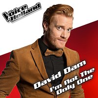 David Dam – I'm Not The Only One [From The Voice Of Holland 5]
