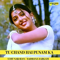 Udit Narayan, Sadhana Sargam – Tu Chand Hai Punam Ka