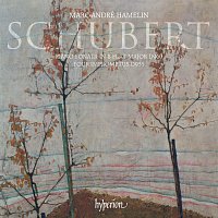 Marc-André Hamelin – Schubert: Piano Sonata No. 21 in B-Flat Major; 4 Impromptus, Op. 142