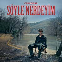 Soyle Nerdeyim