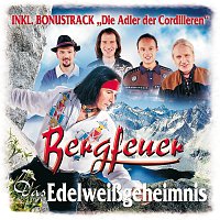 Bergfeuer – Das Edelweiszgeheimnis