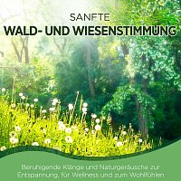 Sanfte Wald- und Wiesenstimmung - Beruhigende Klänge und Naturgeräusche zur Entspannung, für Wellness und zum Wohlfühlen
