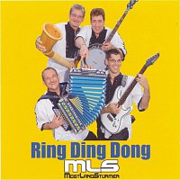 Mostlandsturmer – Ring Ding Dong