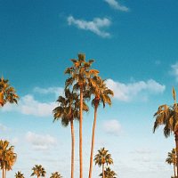entoy, Napoleon the Wilderness – Sell the sky