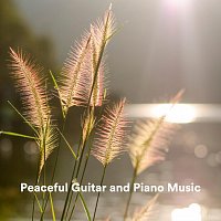 Chris Snelling, James Shanon, Yann Nyman, Django Wallace, Max Arnald, Chris Mercer – Peaceful Guitar and Piano Music