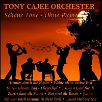Tony Cajee Orchester – Schöne Töne - Ohne Worte