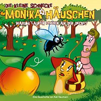 Die kleine Schnecke Monika Hauschen – 24: Warum laufen Fliegen an der Decke?