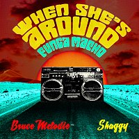 Bruce Melodie, Shaggy – When She's Around (Funga Macho)