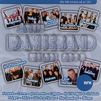 Různí interpreti – Arets dansebandmelodi 2004