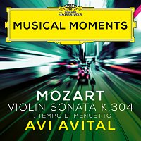 Avi Avital, Ohad Ben-Ari – Mozart: Violin Sonata No. 21 in E Minor, K. 304: II. Tempo di Menuetto (Transcr. Avital for Mandolin and Piano) [Musical Moments]
