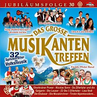 Různí interpreti – Das grosze Musikantentreffen - Folge 30