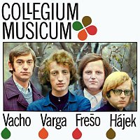 Přední strana obalu CD Collegium Musicum