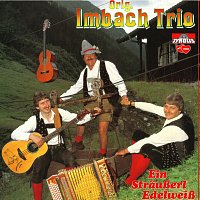 Přední strana obalu CD Ein Sträußerl Edelweiß