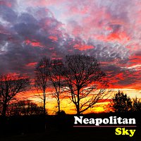 Přední strana obalu CD Neapolitan Sky
