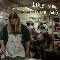 Dexter and The Moonrocks – Like You (Like You)