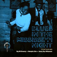 Různí interpreti – Blues In The Mississippi Night - The Alan Lomax Collection
