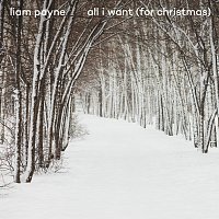 Liam Payne – All I Want (For Christmas)