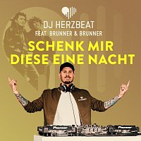 DJ Herzbeat, Brunner & Brunner – Schenk' mir diese eine Nacht