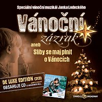 Muzikál: Vánoční zázrak aneb Sliby se maj plnit o Vánocích / 12 vánočních nej... (De luxe Edition)