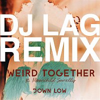 Weird Together, Moonchild Sanelly – Down Low (DJ Lag Remix Extended)