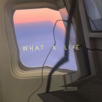 Scarlet Pleasure – What A Life