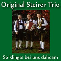 Original Steirer Trio – So klingts bei uns dahoam