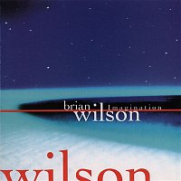Brian Wilson – Imagination