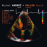 Michal Ambrož & David Koller – Srdecni pribeh FLAC