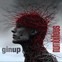 Přední strana obalu CD Gin Up