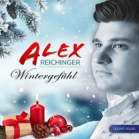 Alex Reichinger – Wintergefühl