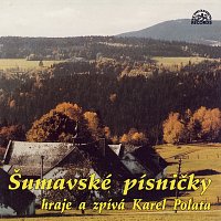 Malá dechová hudba Šumavanka – Šumavské písničky