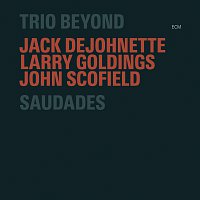 Trio Beyond – Saudades