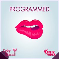Peter Bacall, Felix Voya – Programmed (To Be Perfect)