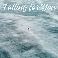 Přední strana obalu CD Falling for You