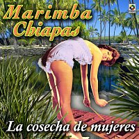 Marimba Chiapas – La Cosecha De Mujeres