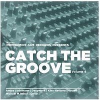 Různí interpreti – Catch The Groove, Vol. 4