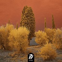 Matchbox Youth – Underpine