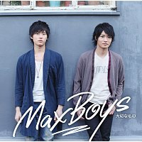 Přední strana obalu CD Taisetsunamono