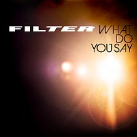 Filter – What Do You Say