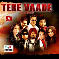 Various Artist – Tere Vaade