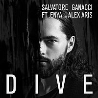 Dive (feat. Enya and Alex Aris)